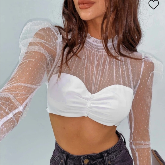 Princess Polly Tops - Sheer Crop Top